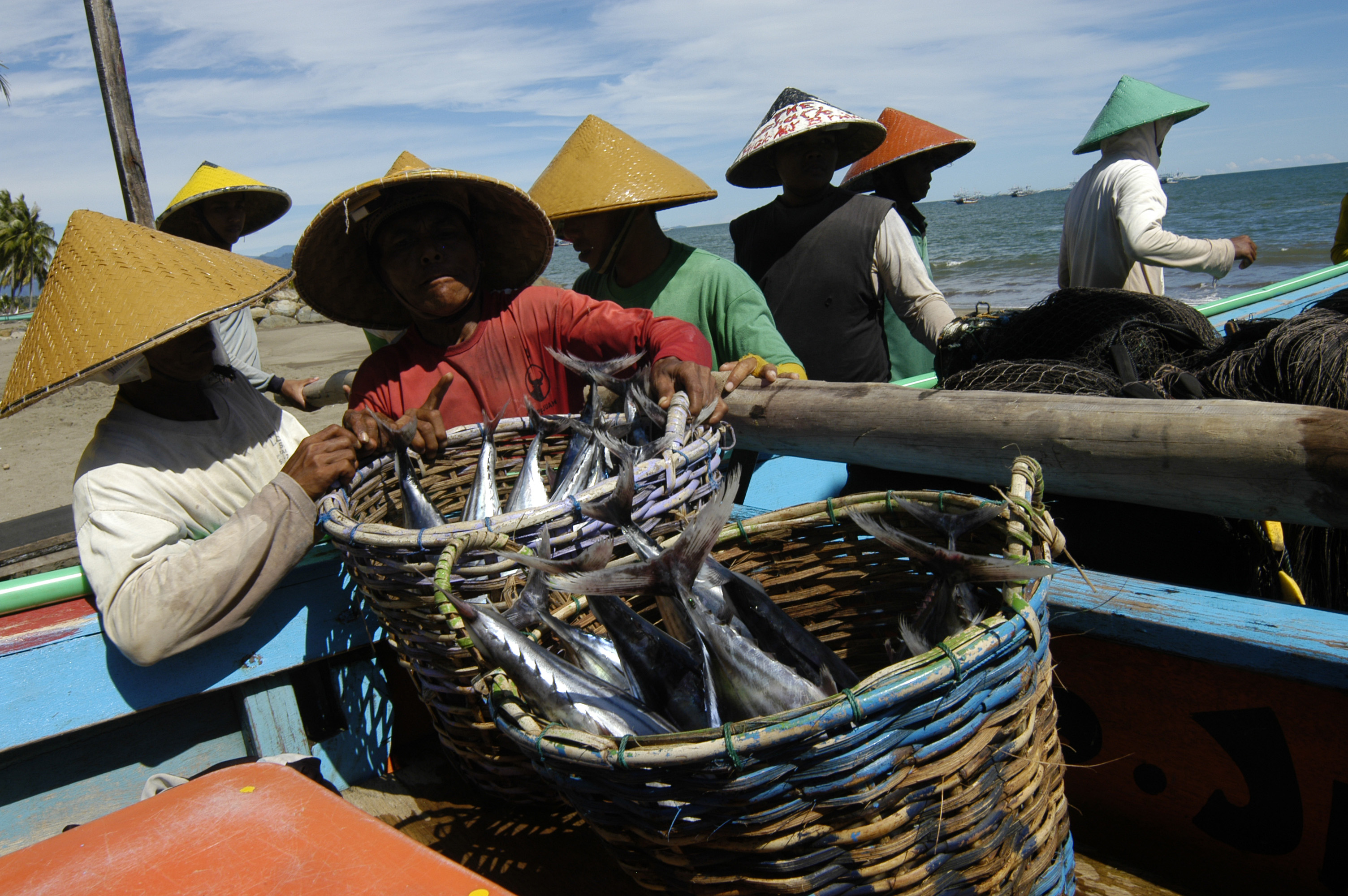 Dua nelayan mengangkat Ikan Tongkol hasil tangkapan seusai melaut di Pasir Nan Tigo, Padang, Sumatera Barat, Selasa (16/6). Para nelayan di wilayah itu mengaku mampu mendapatkan 10 hingga 15 keranjang ikan Tongkol dengan harga jual Rp400.000 hingga Rp500.000 per keranjang. ANTARA FOTO/Maril Gafur.
