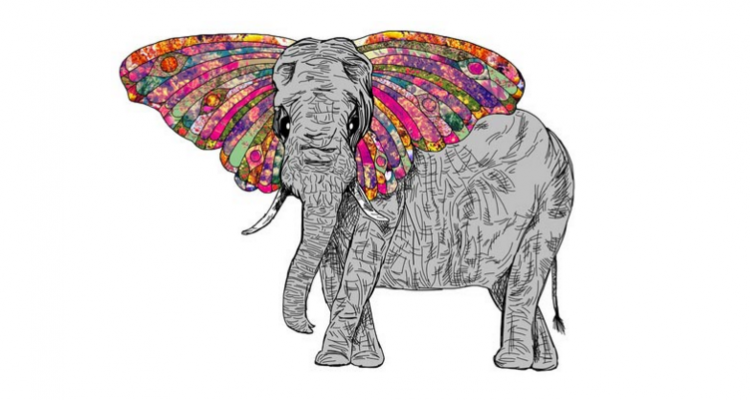 15 Fakta Tentang Gajah Hewan Dengan Rasa Empati Business Lounge