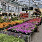 Home Depot Garden