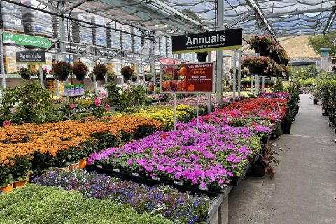 Home Depot Garden