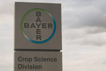 Bayer