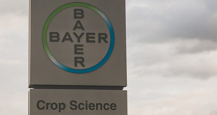 Bayer