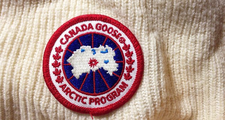 Canada Goose