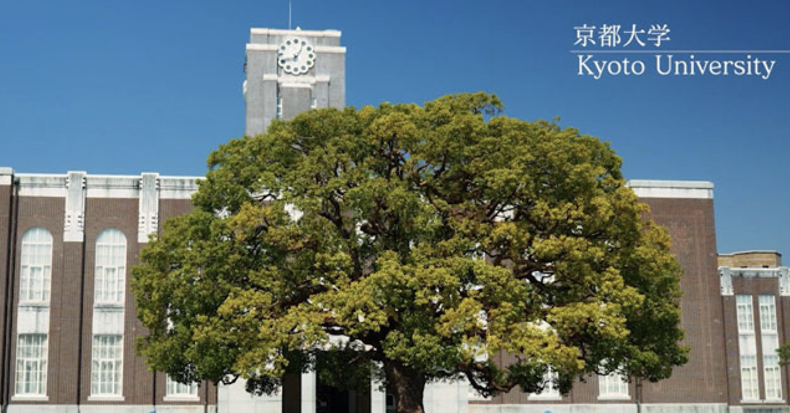 Gedung Kyoto University yang menjadi pusat penelitian sel punca iPS.