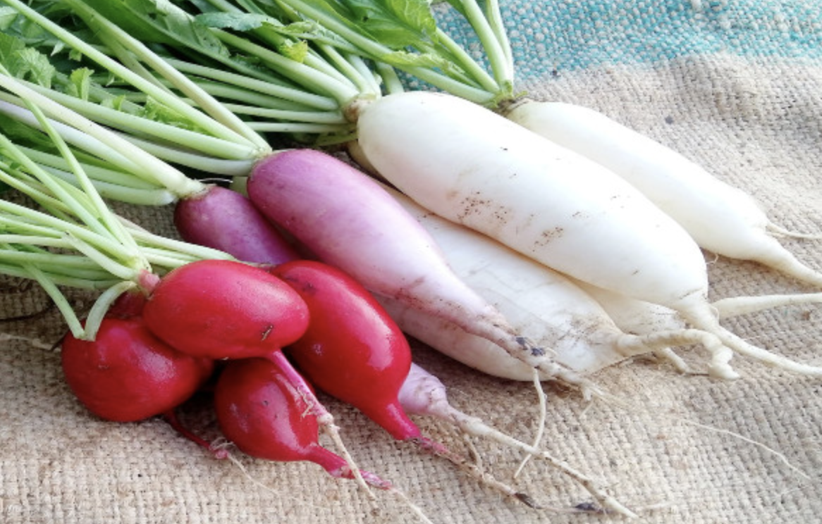 Lobak putih merah segar di atas talenan dengan daun hijau, menunjukkan sumber oksalat alami.”
