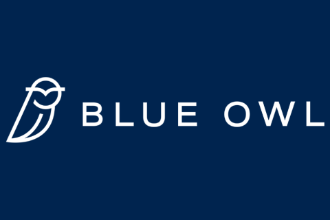 Blue Owl