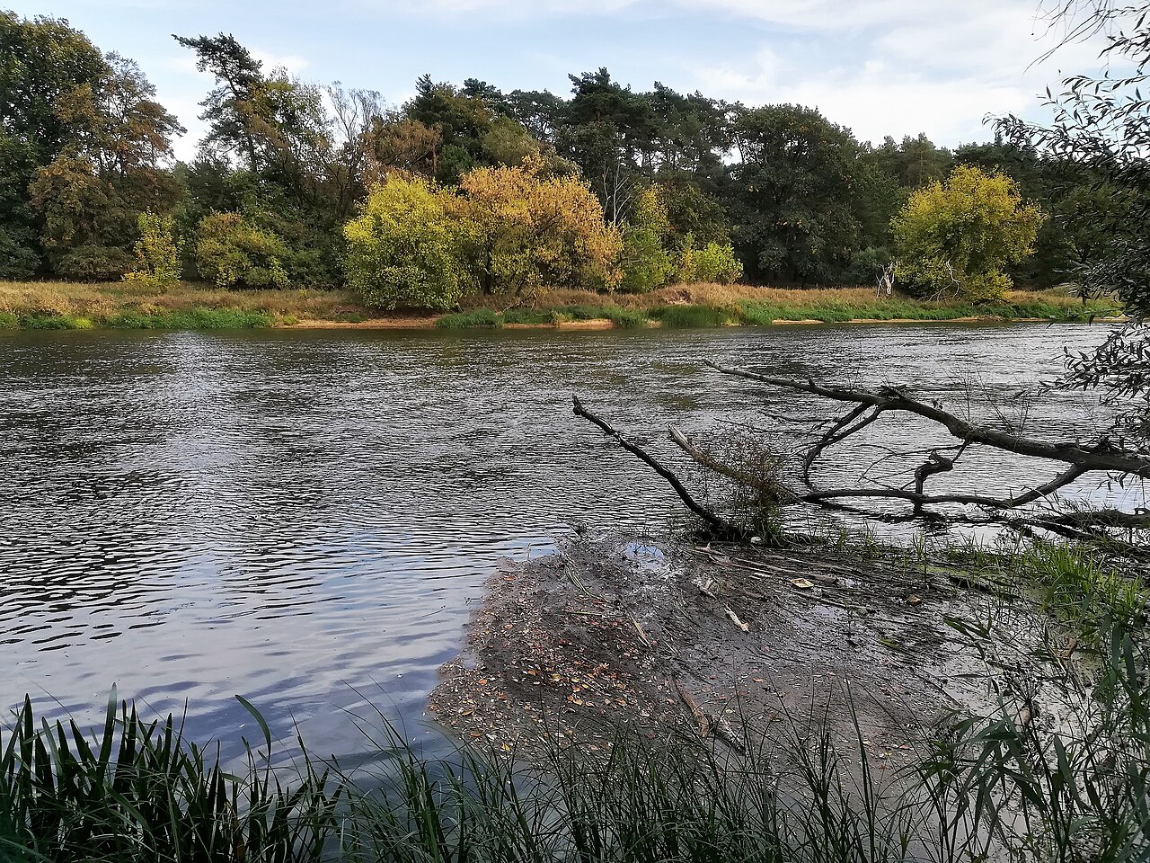 Autumn-beside-the-Warta-River