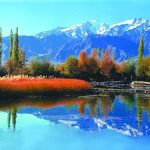 Kashmir
