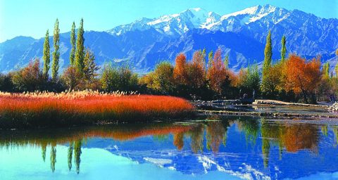 Kashmir