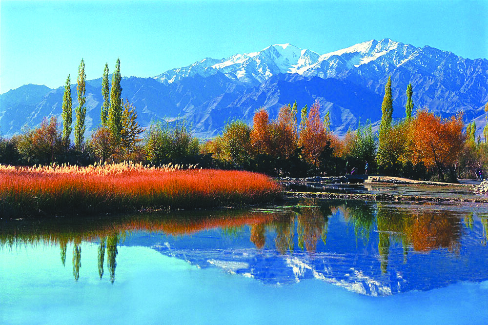 Kashmir