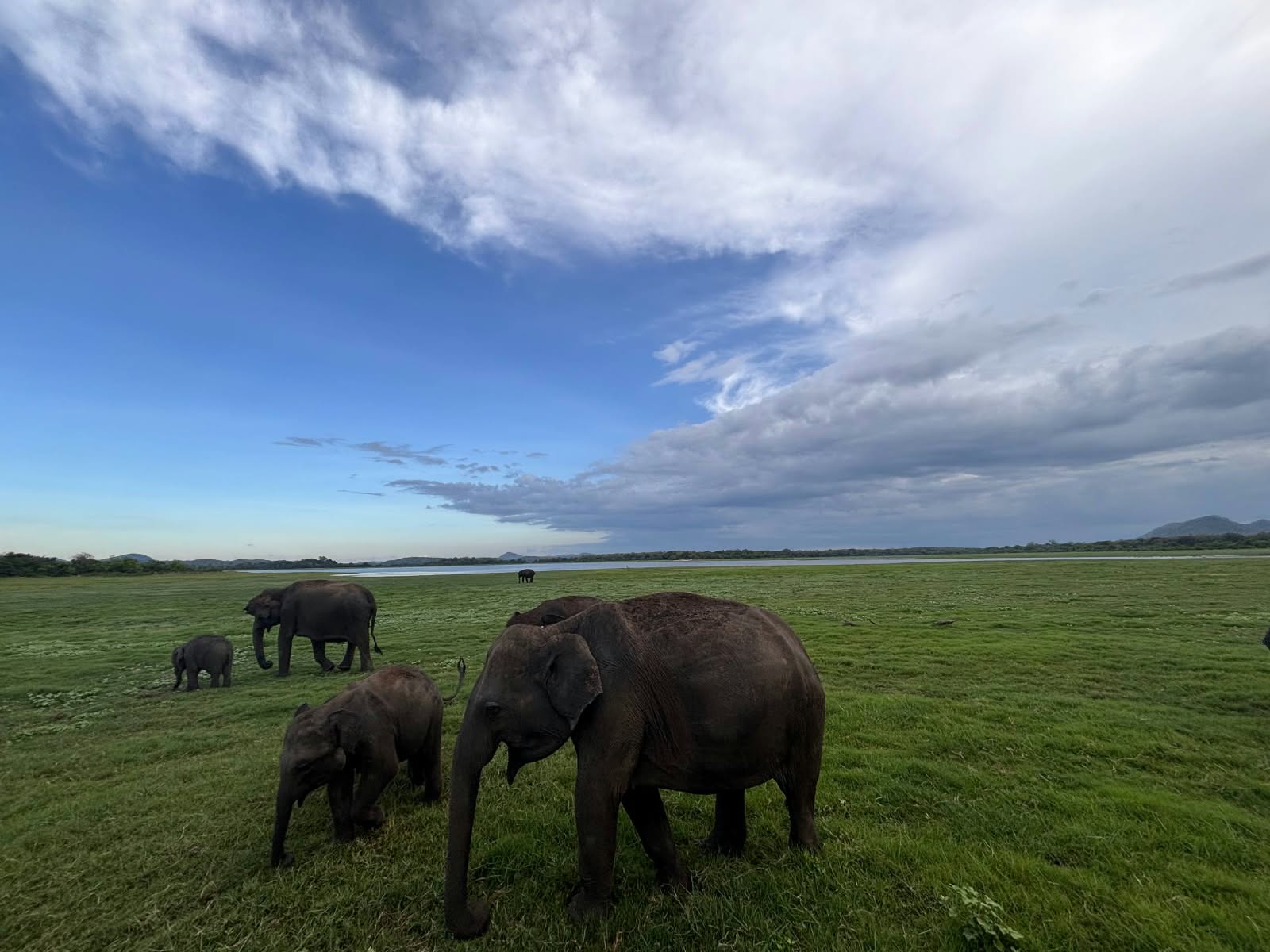 Minneriya National Park