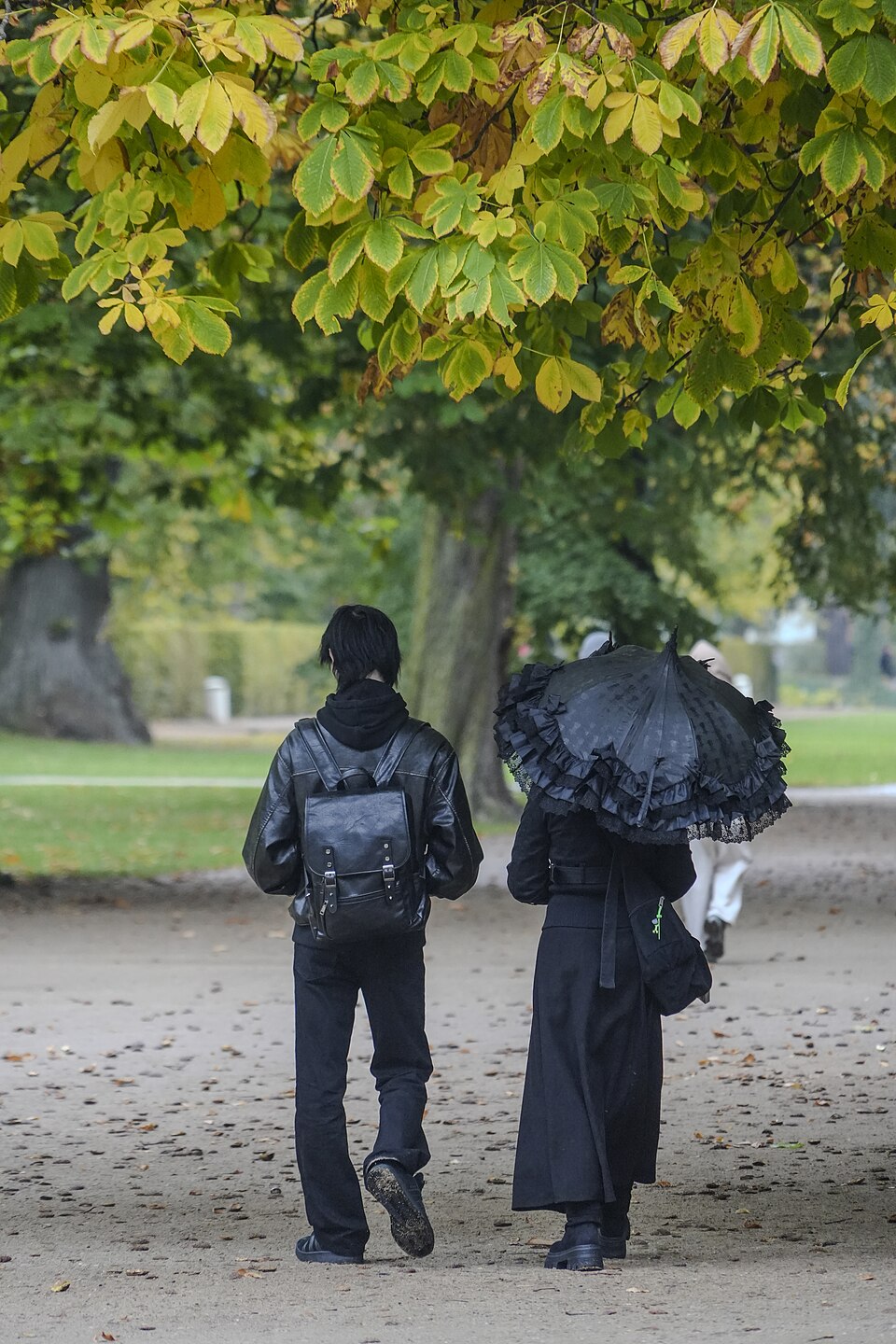 People enjoying an autumn walk