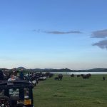Many Jeep, Many Flags